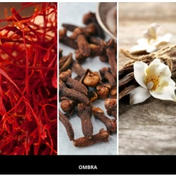 MILLEFIORI MILANO Uzupełniacz do pałeczek OMBRA 250 ml