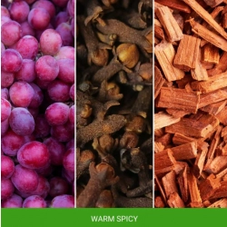 Mr & Mrs Fragrance Zapach do samochodu Cesare Warm Spicy 1szt.