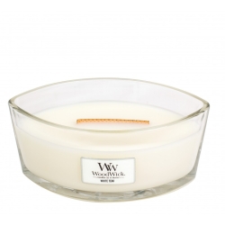 WoodWick White Teak Świeca Elipsa 453,6 g