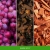 Mr & Mrs Fragrance Zapach do samochodu Cesare Warm Spicy 1szt.